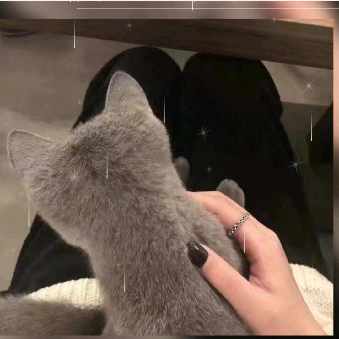 洛南诚信五金涂料批发❤️❤️