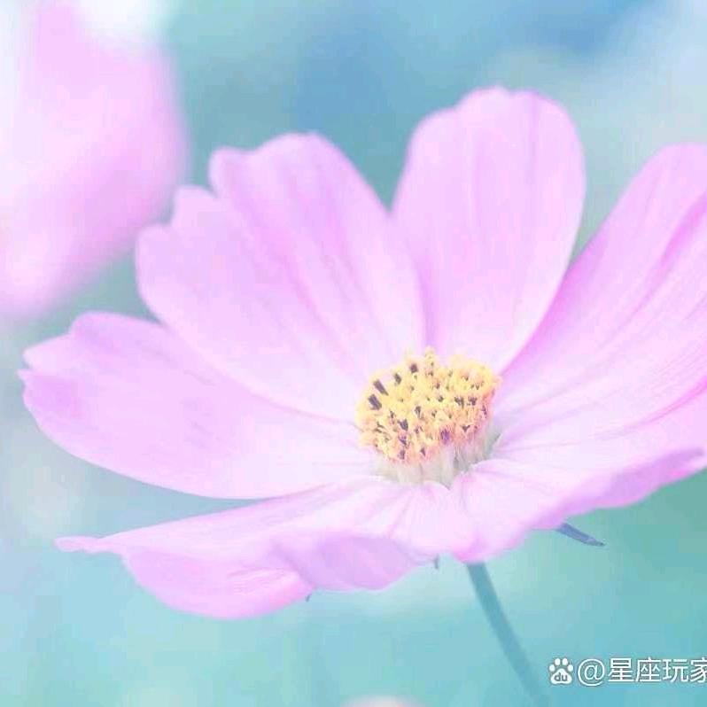 十月晴天