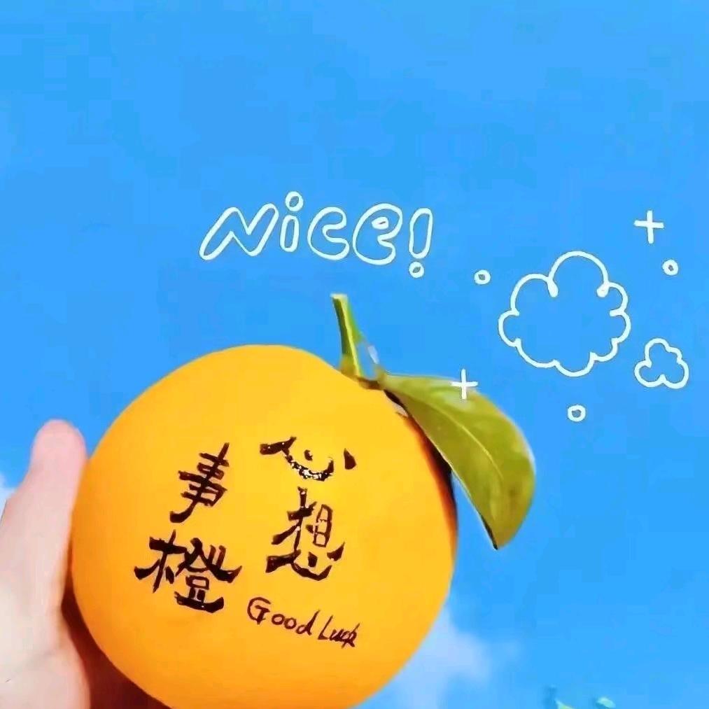 是九宝呀