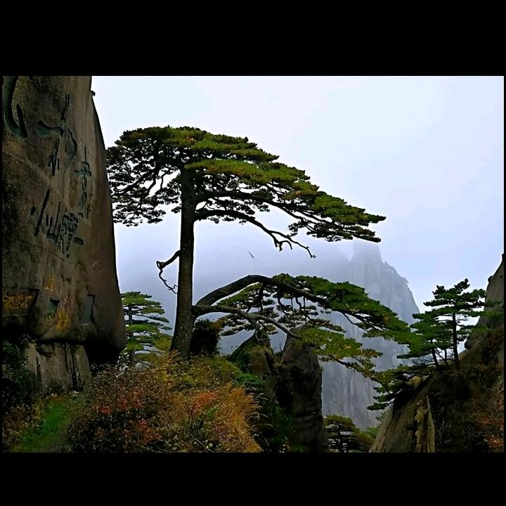 这个冬天不太冷