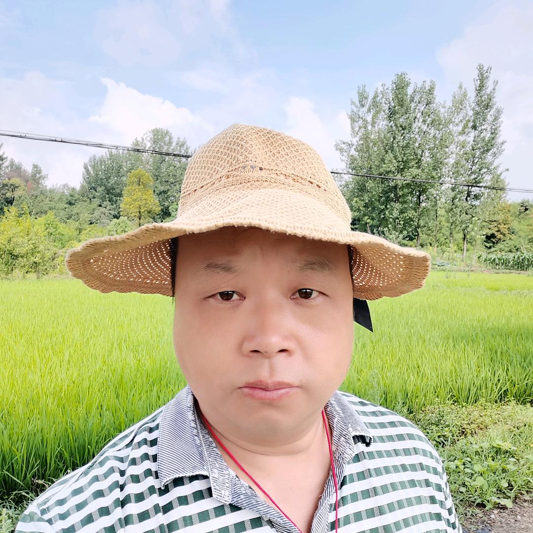 刚哥