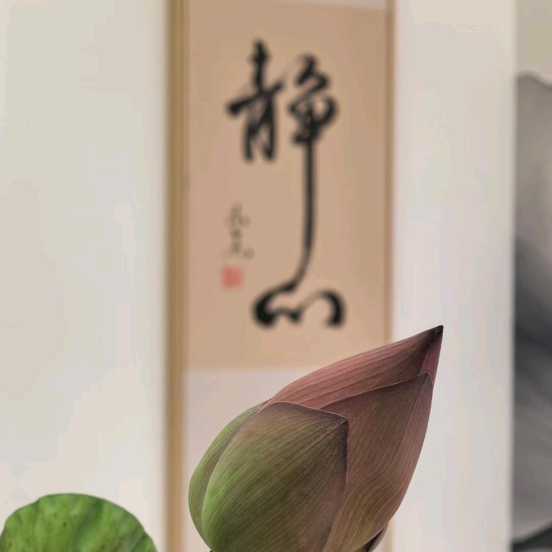 静心