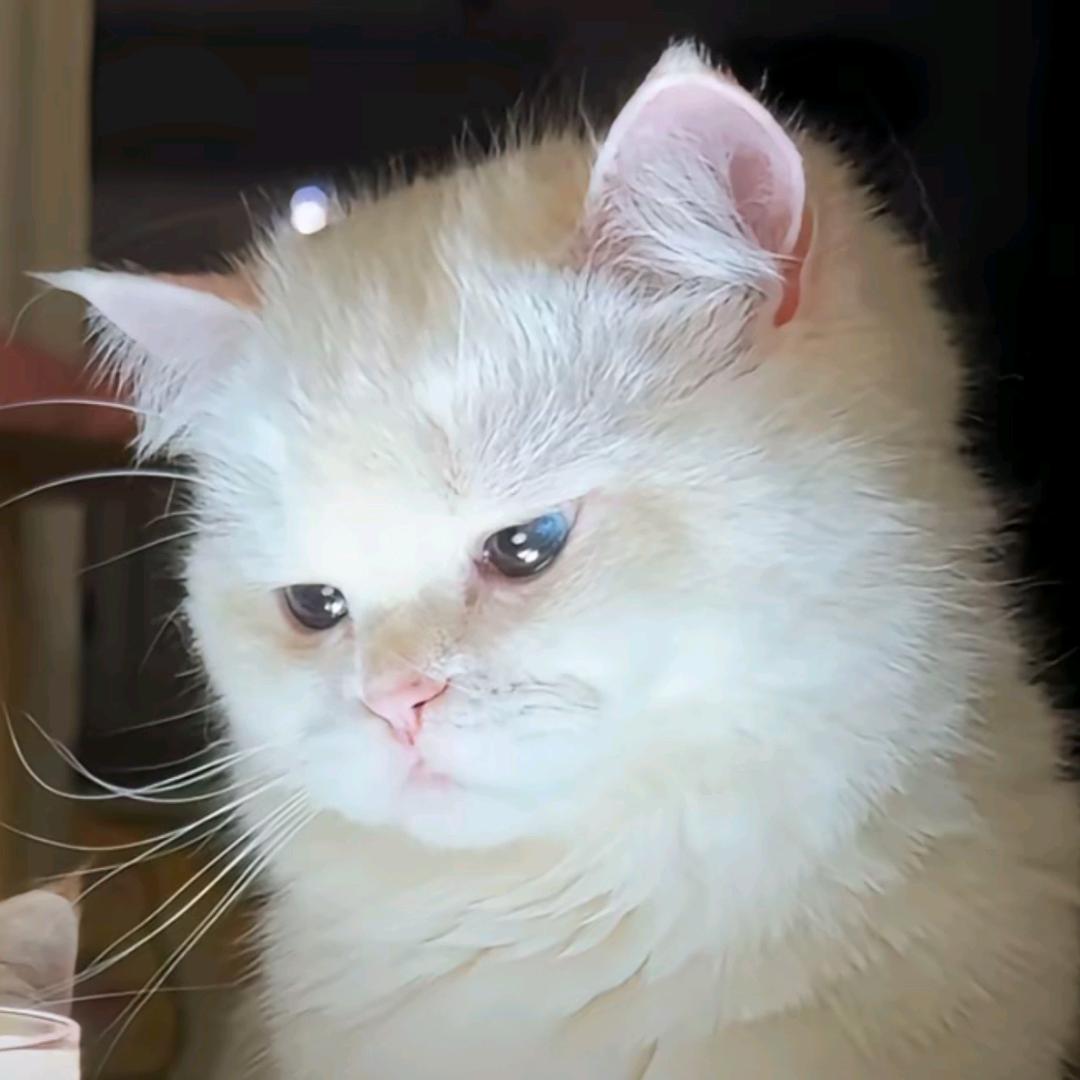 江大桥