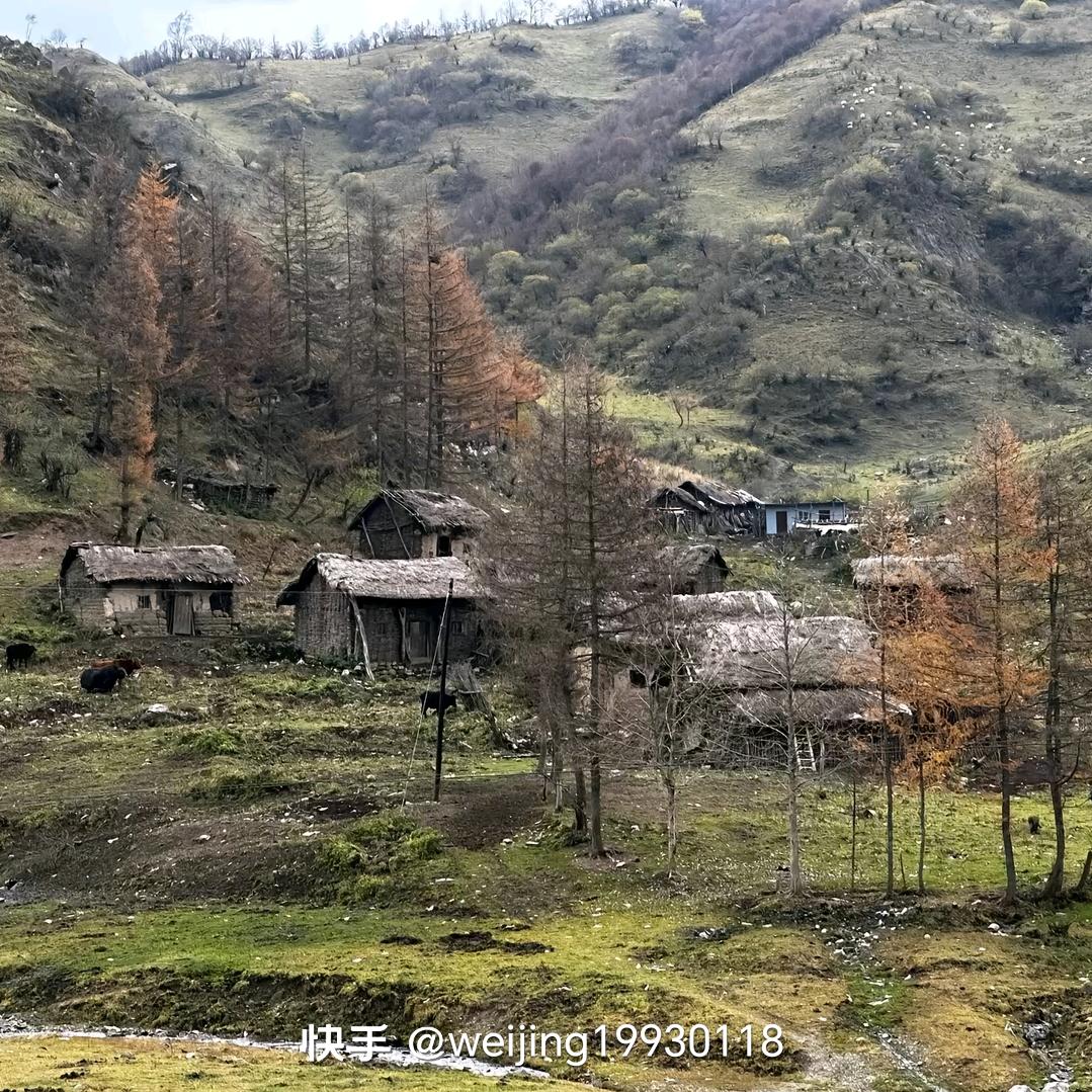 听天由命