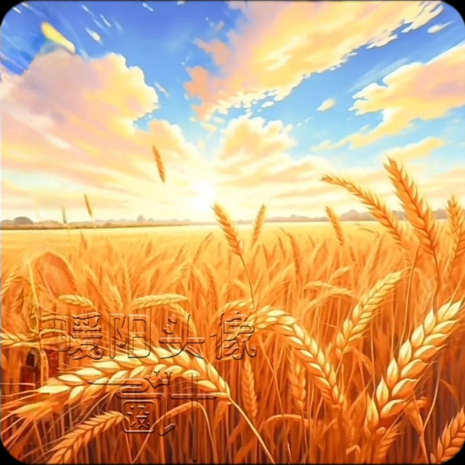 运