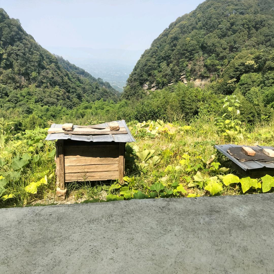 努力奋斗