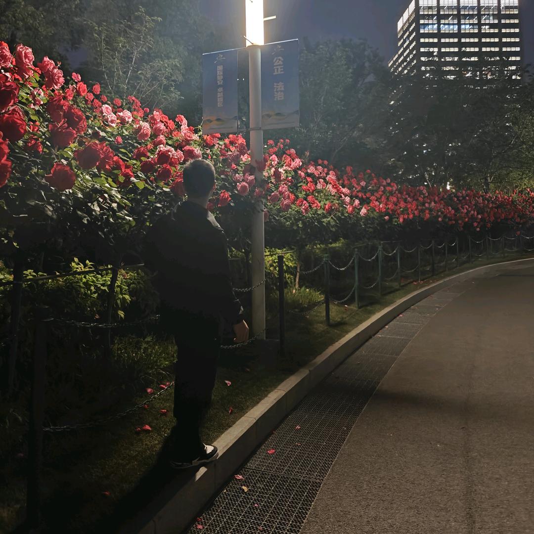 绝世的气质