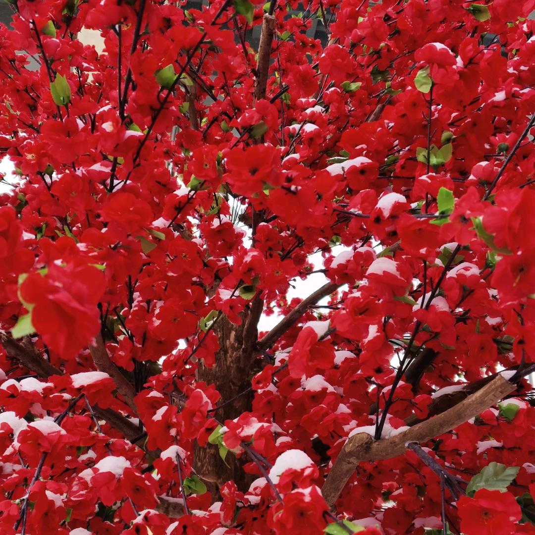 🕊️💋薄荷加糖🕊️💋