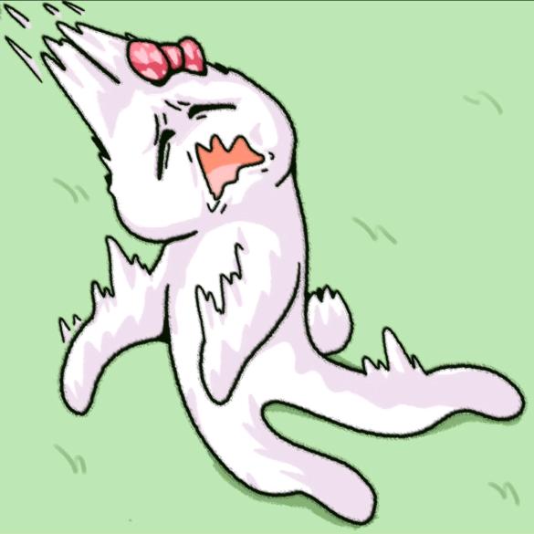 萝菠菠