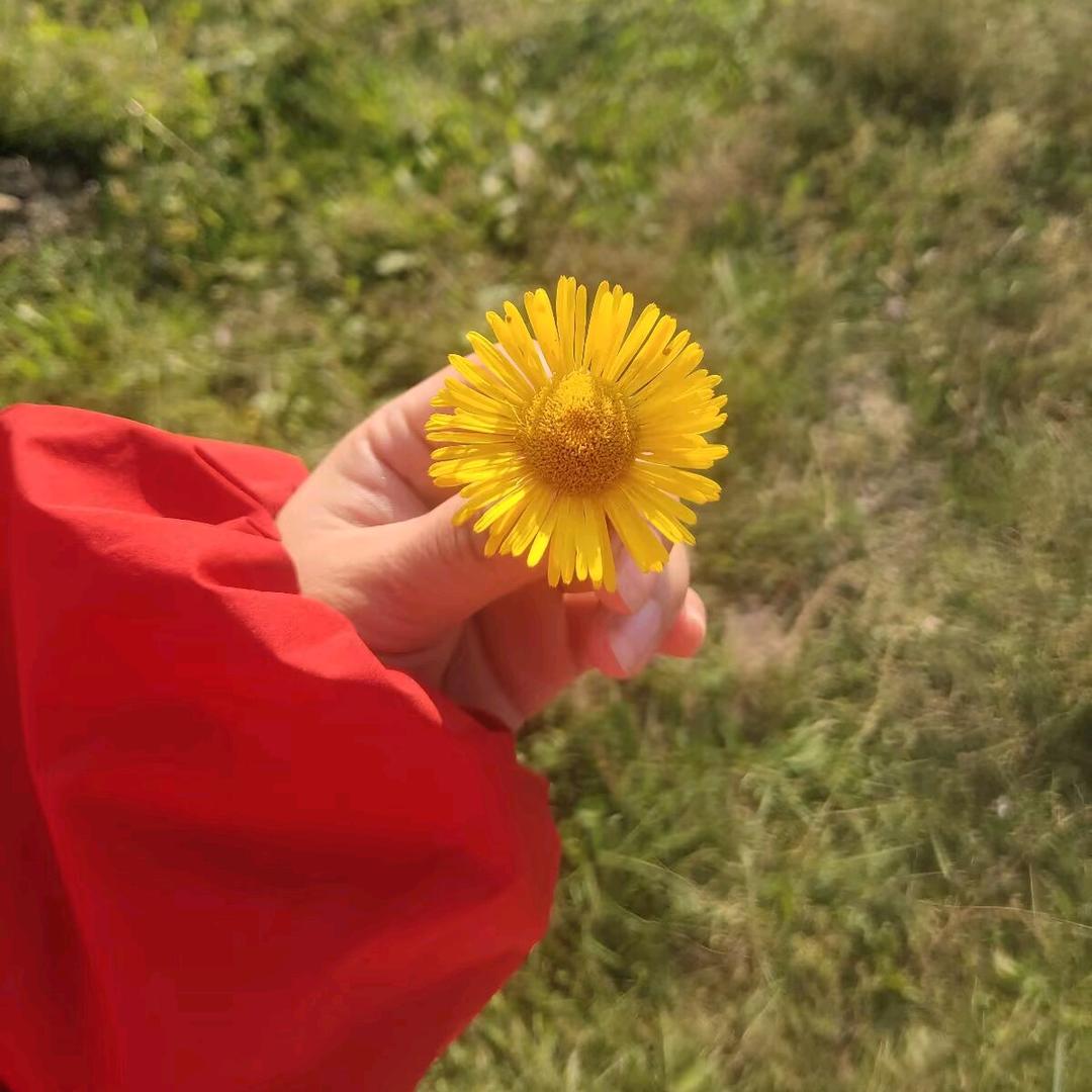 ღ