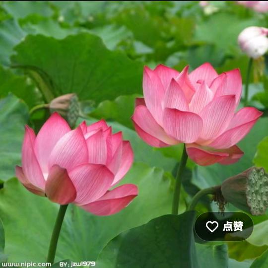 ල᭄💞好心情（拒绝私聊）