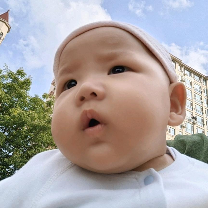 阳阳的灿烂生活《互》不要连赞