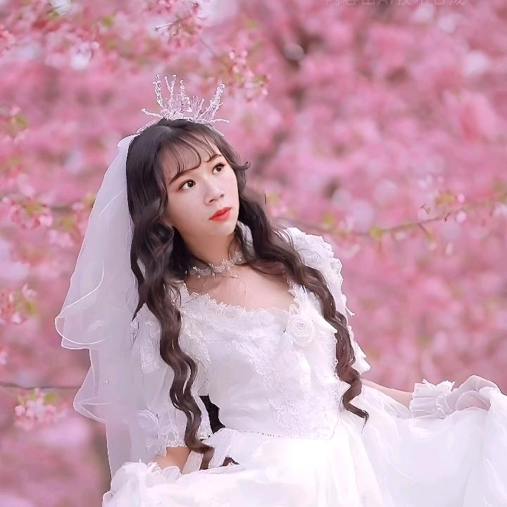 小会