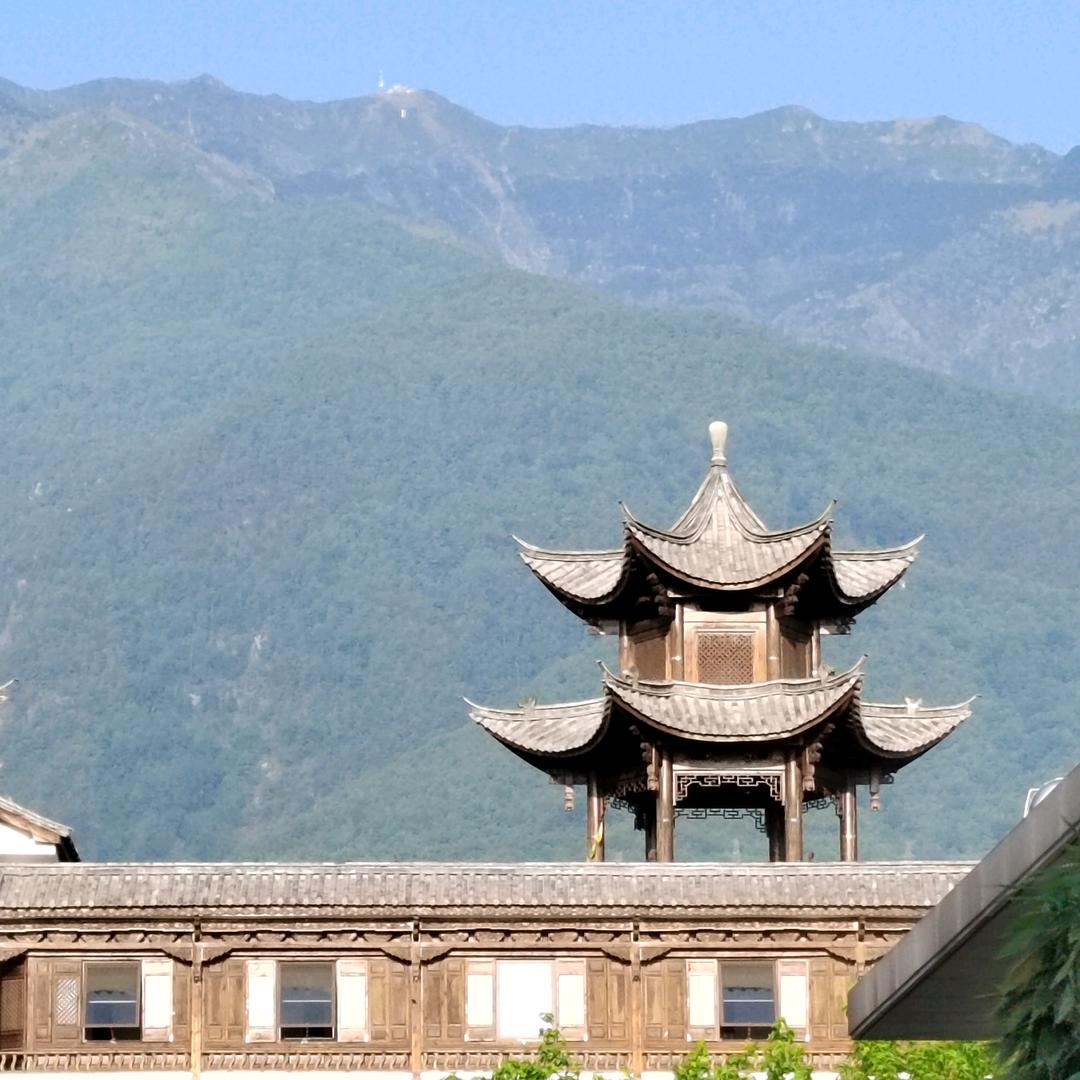 辛夷（吉祥如意）