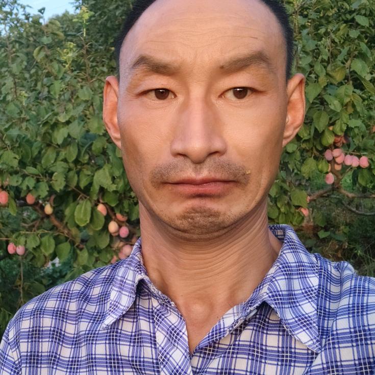 阳光二哥