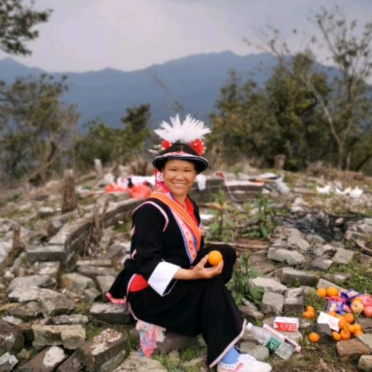 山中蝴蝶