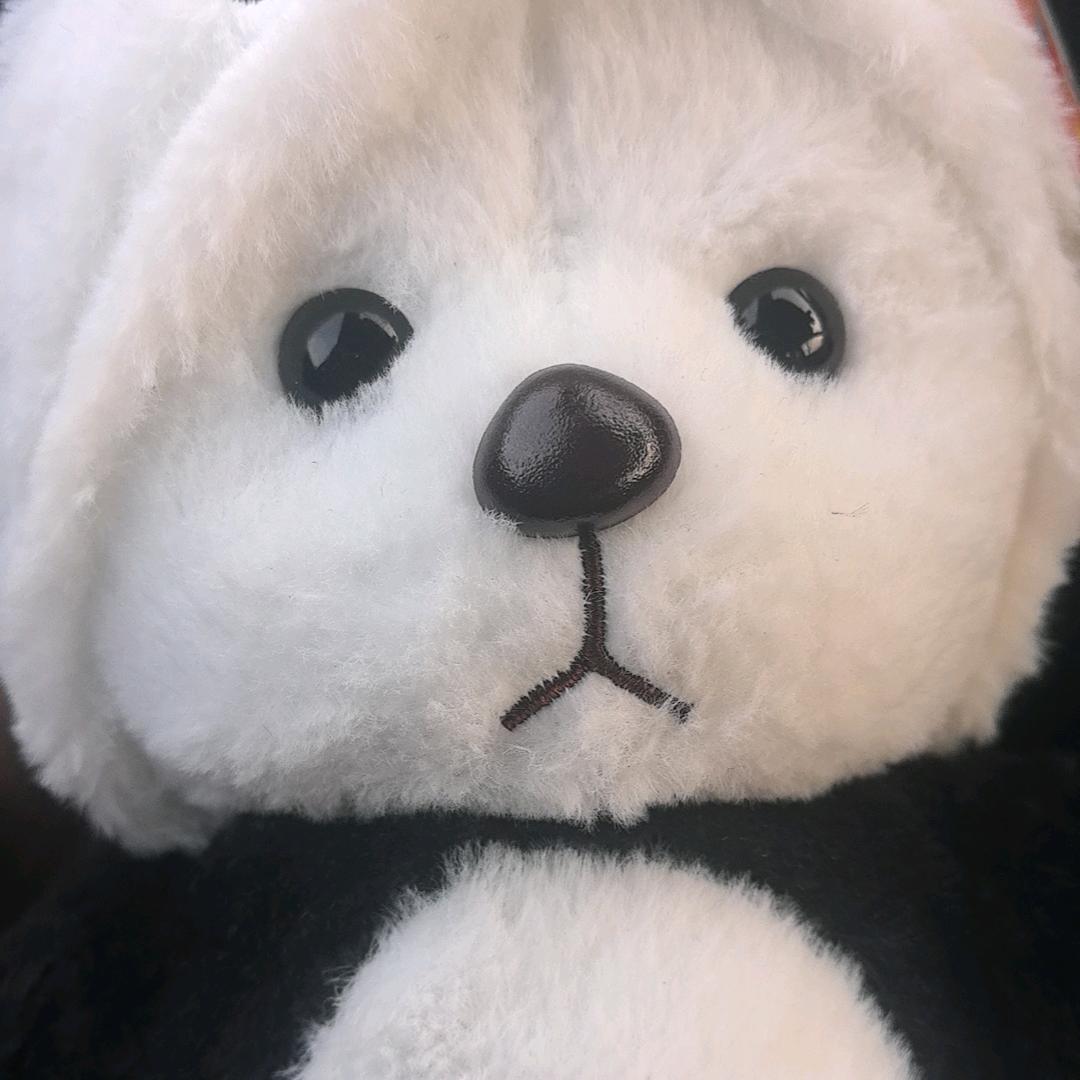 大张伟哥