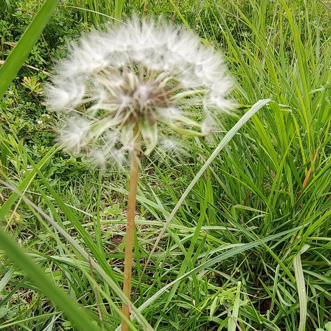 过往云烟