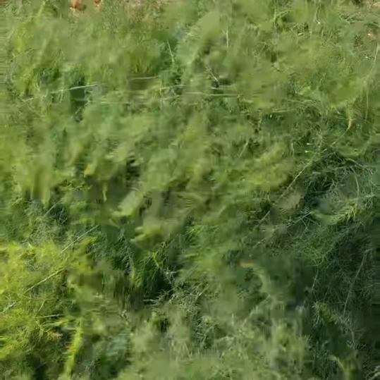 健康快乐每一天