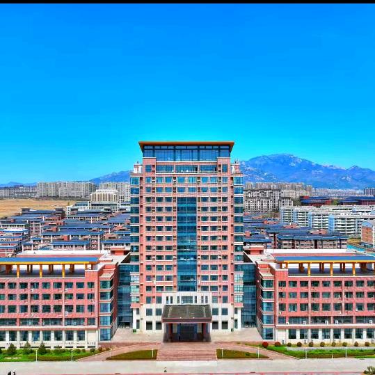 山东力明升学指导规划夏老师