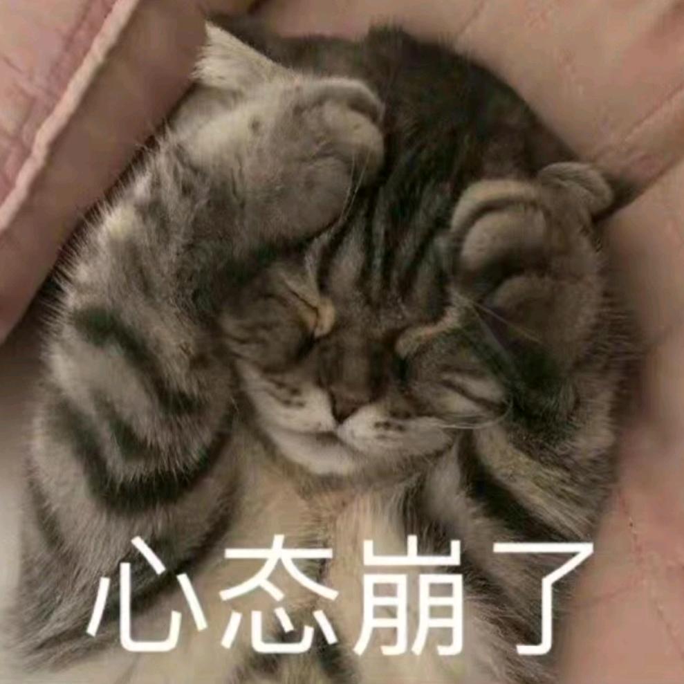 1003号宇航员农农