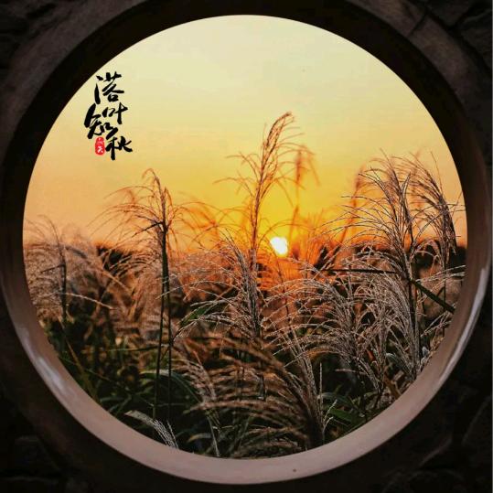 陈如