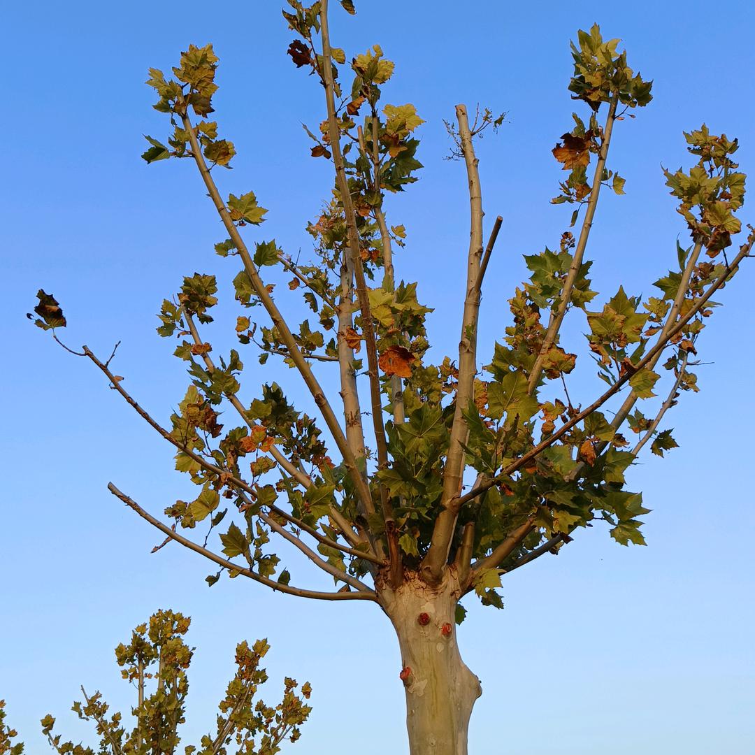 💞ℒᎭℯ⃝独守一人心💕⁵²º࿐