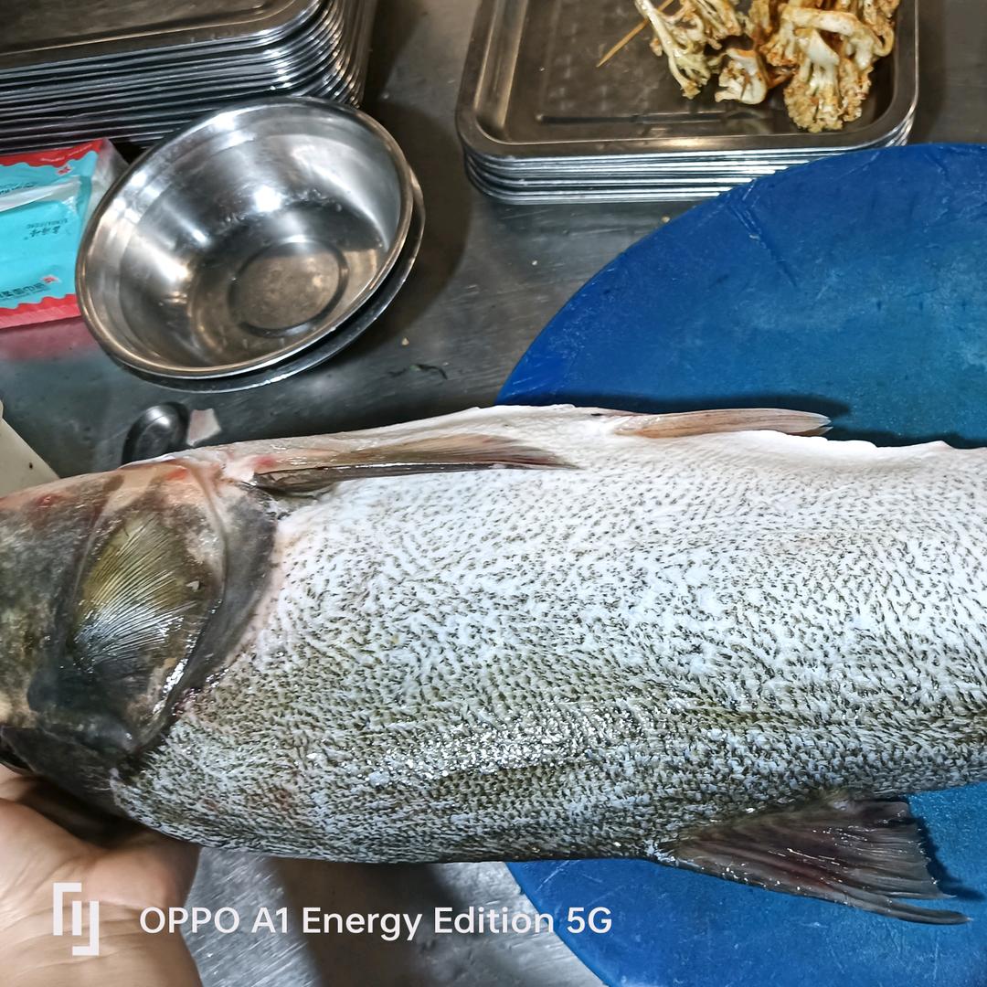 🥰꧔ꦿ᭄🌸农村💫莉姐💞᭄࿐