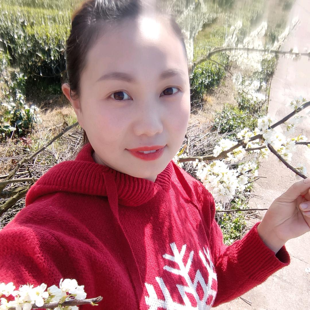 充满阳光的傻妞