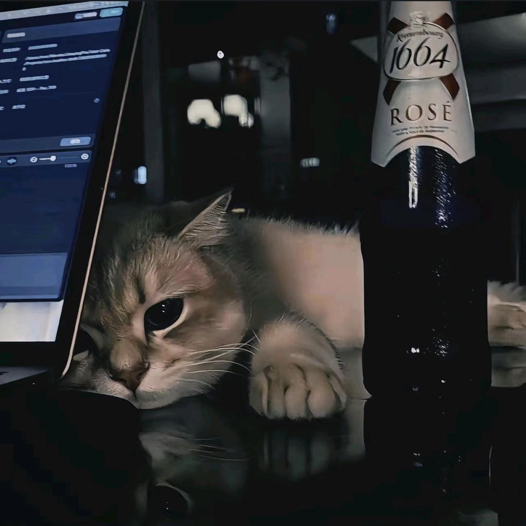 飞鸟困于千山🍁