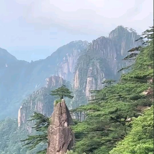 照灵哥