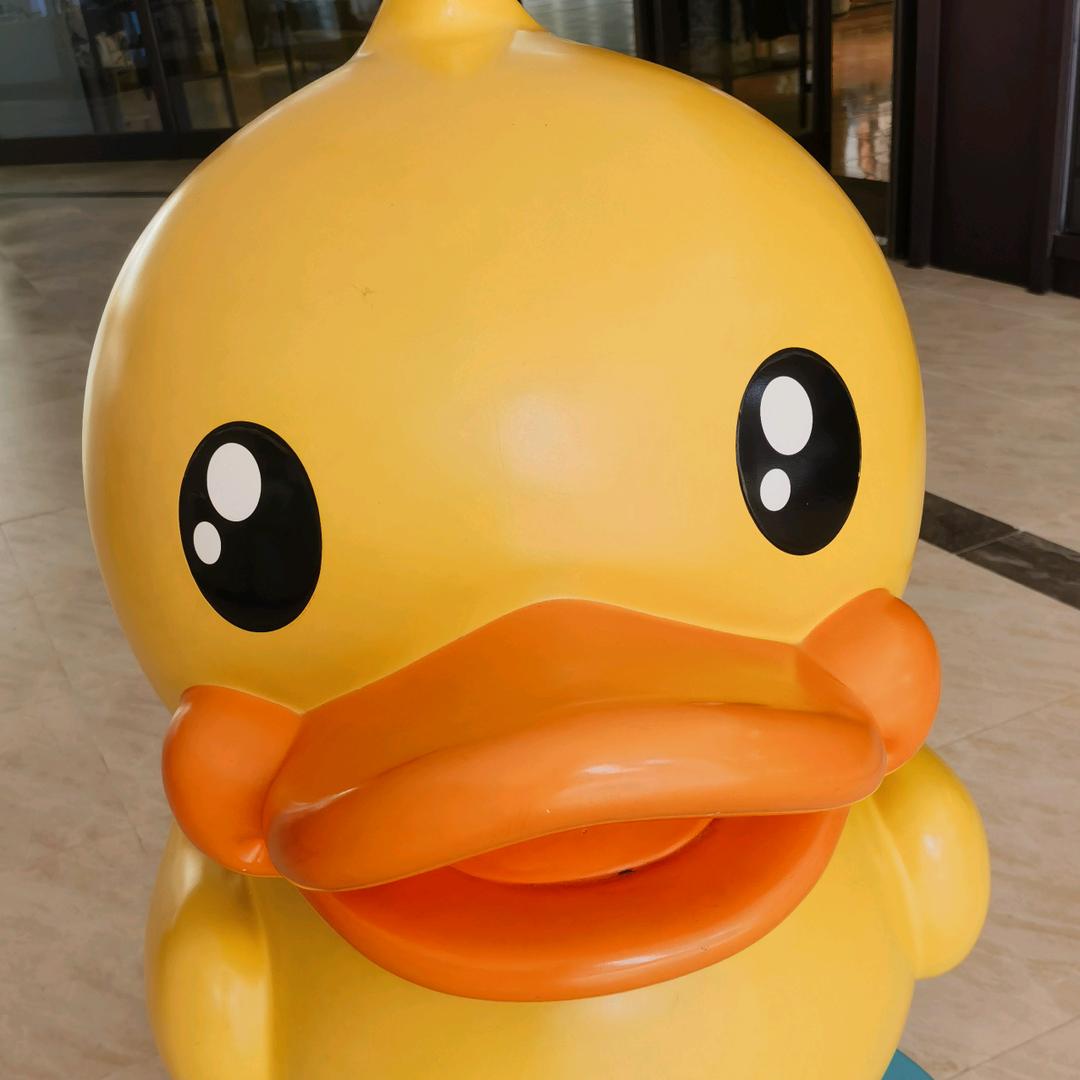 缘来缘去