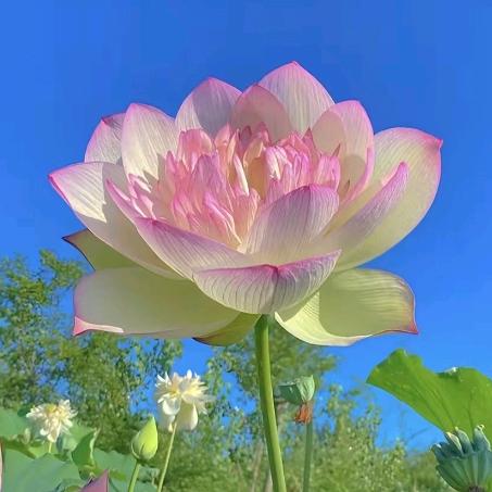 每天都是开心的