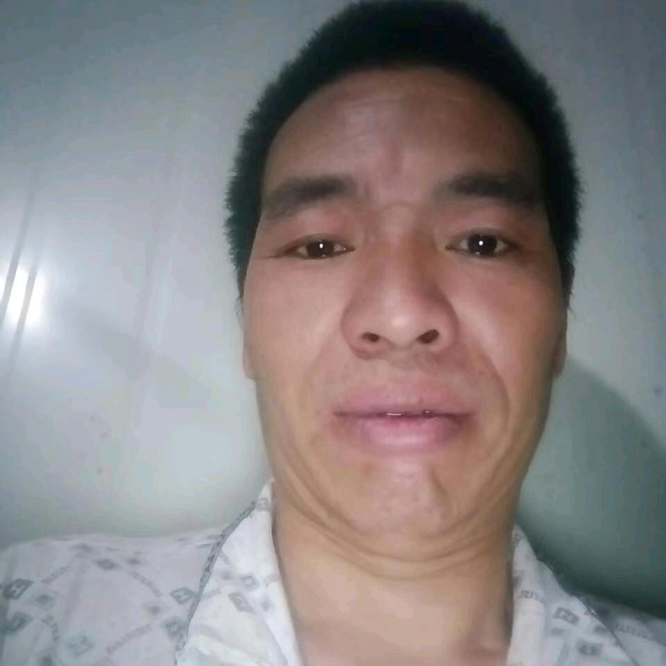 甘在林