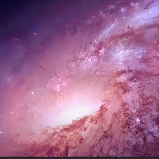 小星星27443