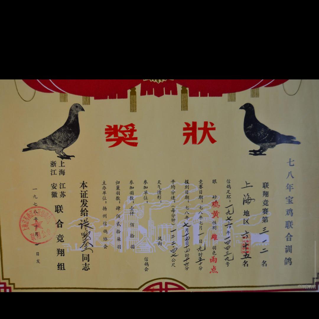利凤…鸽业