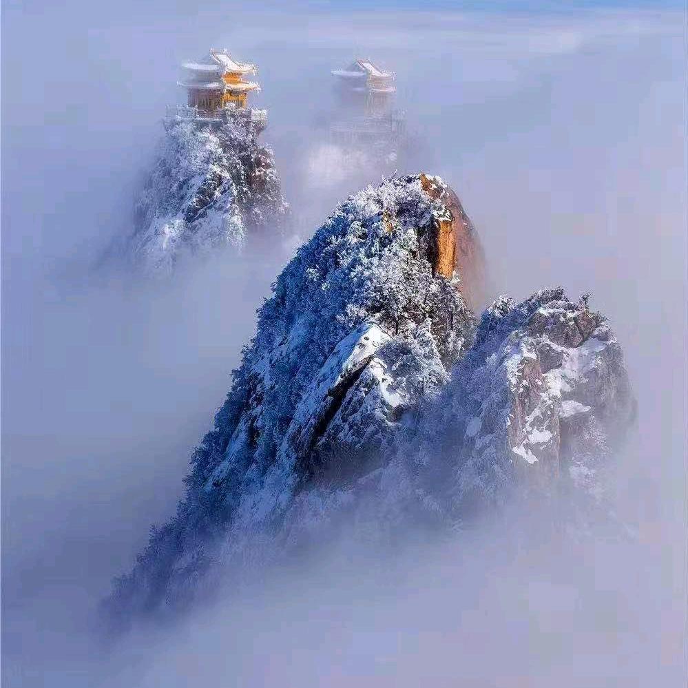 紫建的东方乐园