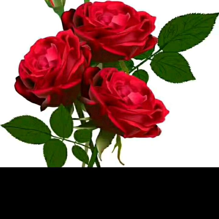 🌹花开福贵🌹666🌹