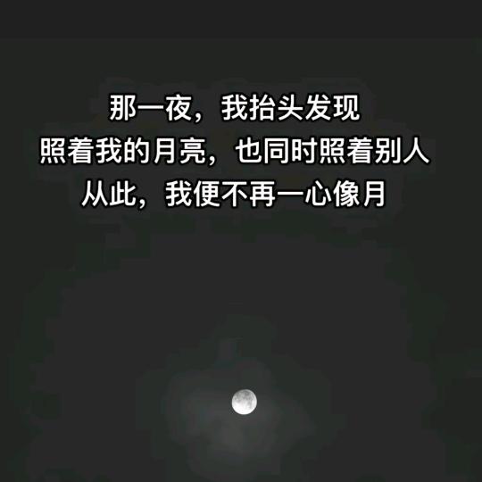 我与旧事归于尽 来年依旧迎花开