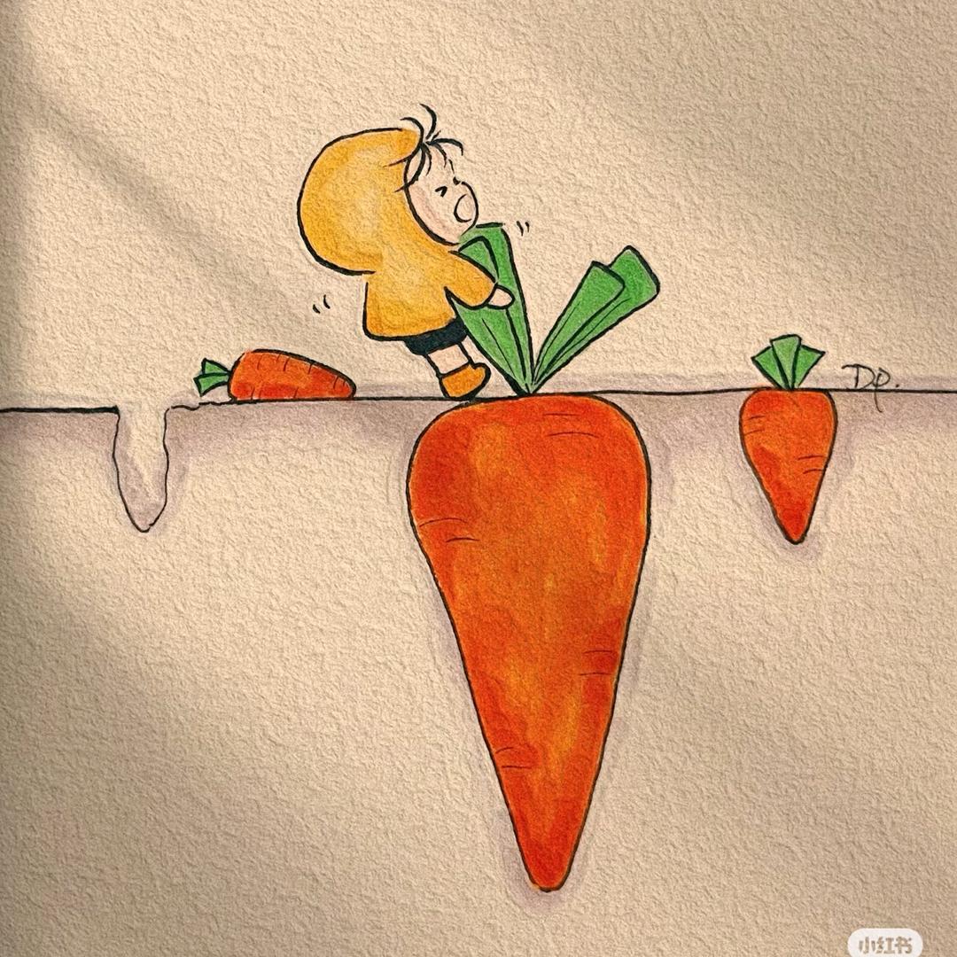 不吃胡萝卜