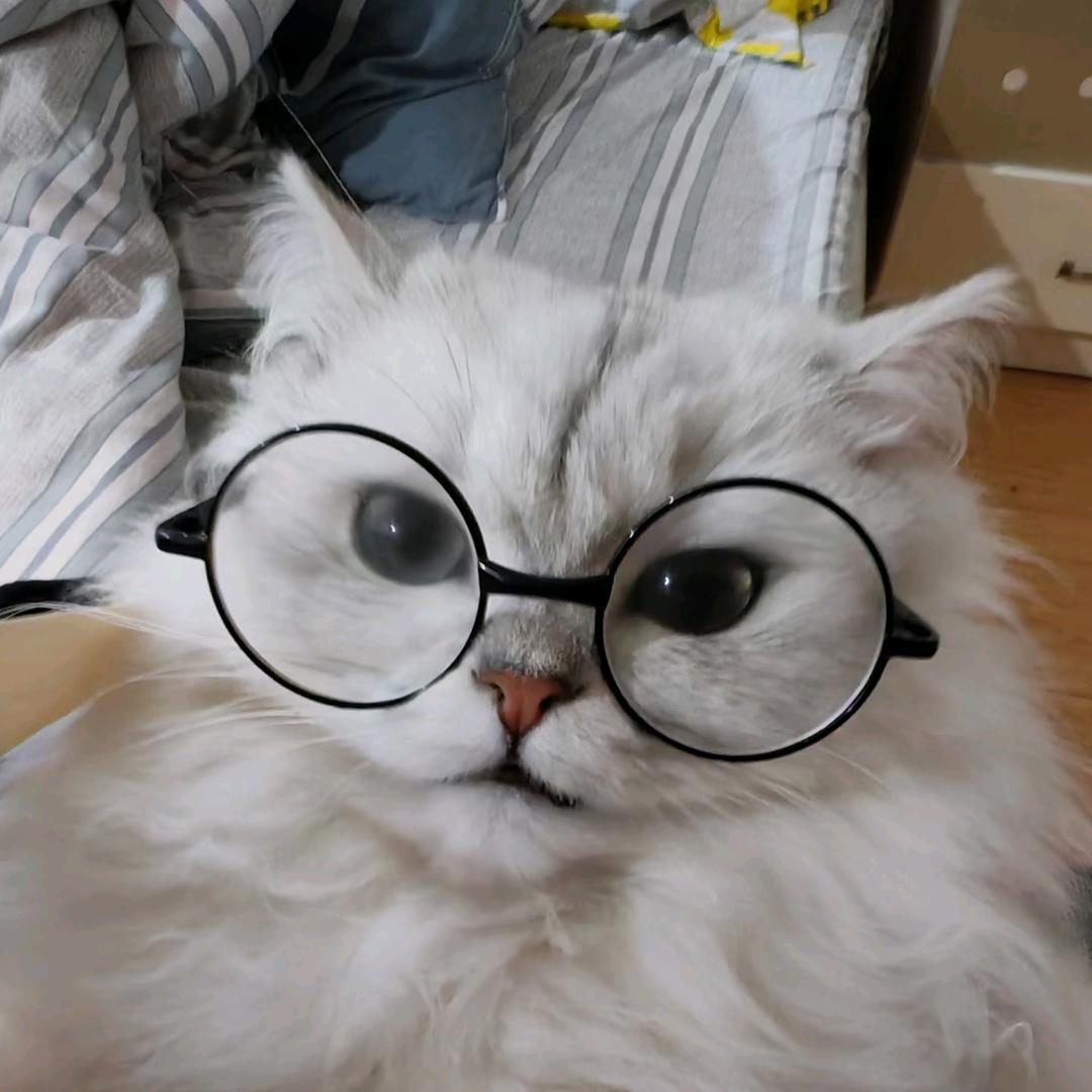 sam