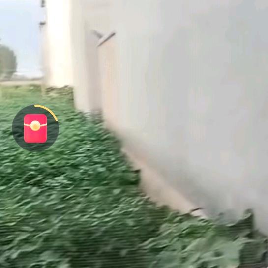 回忆