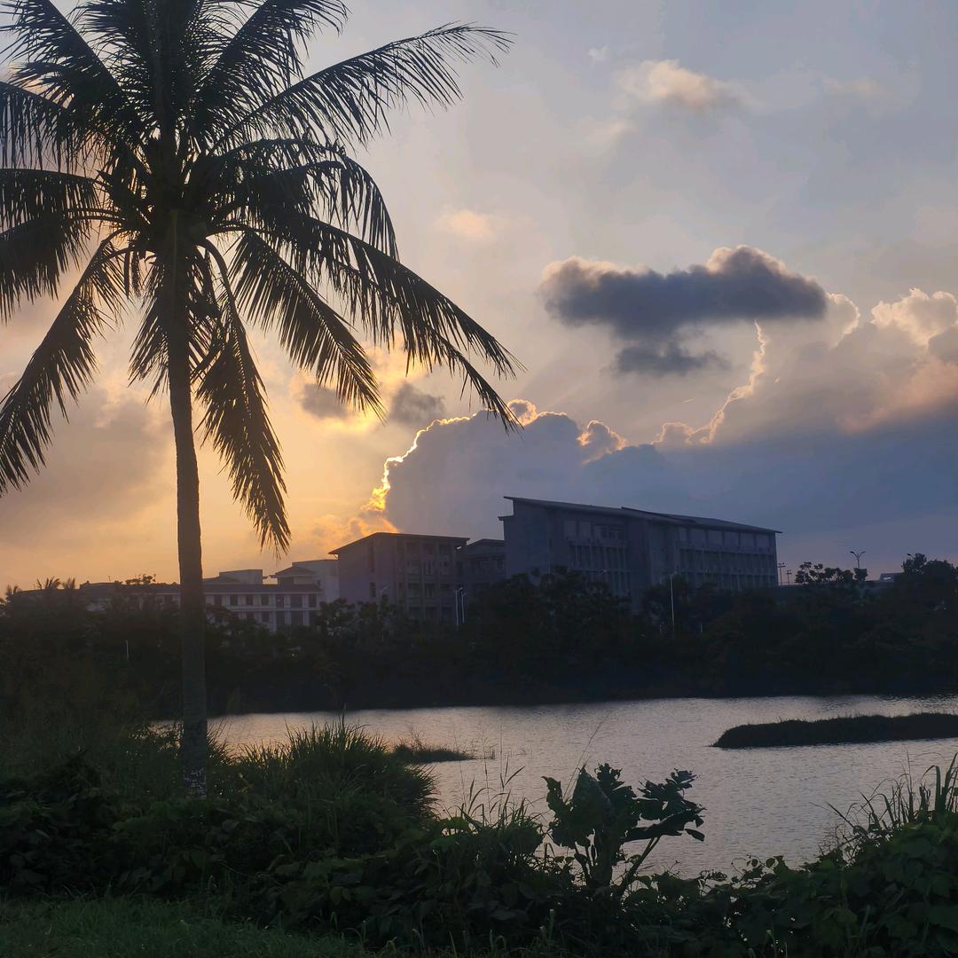 少状不努力｡◕‿◕｡