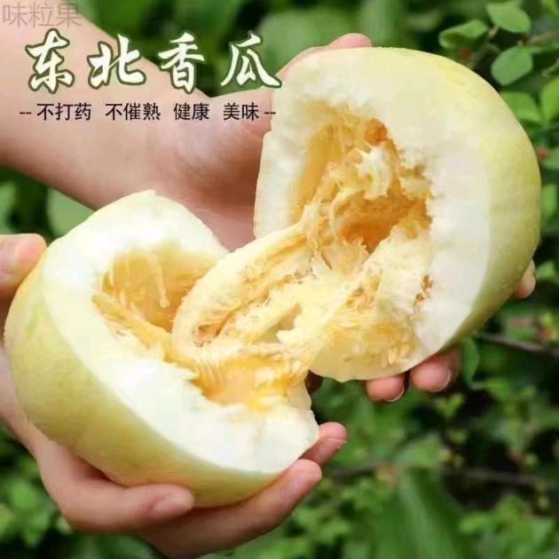 东北农产品