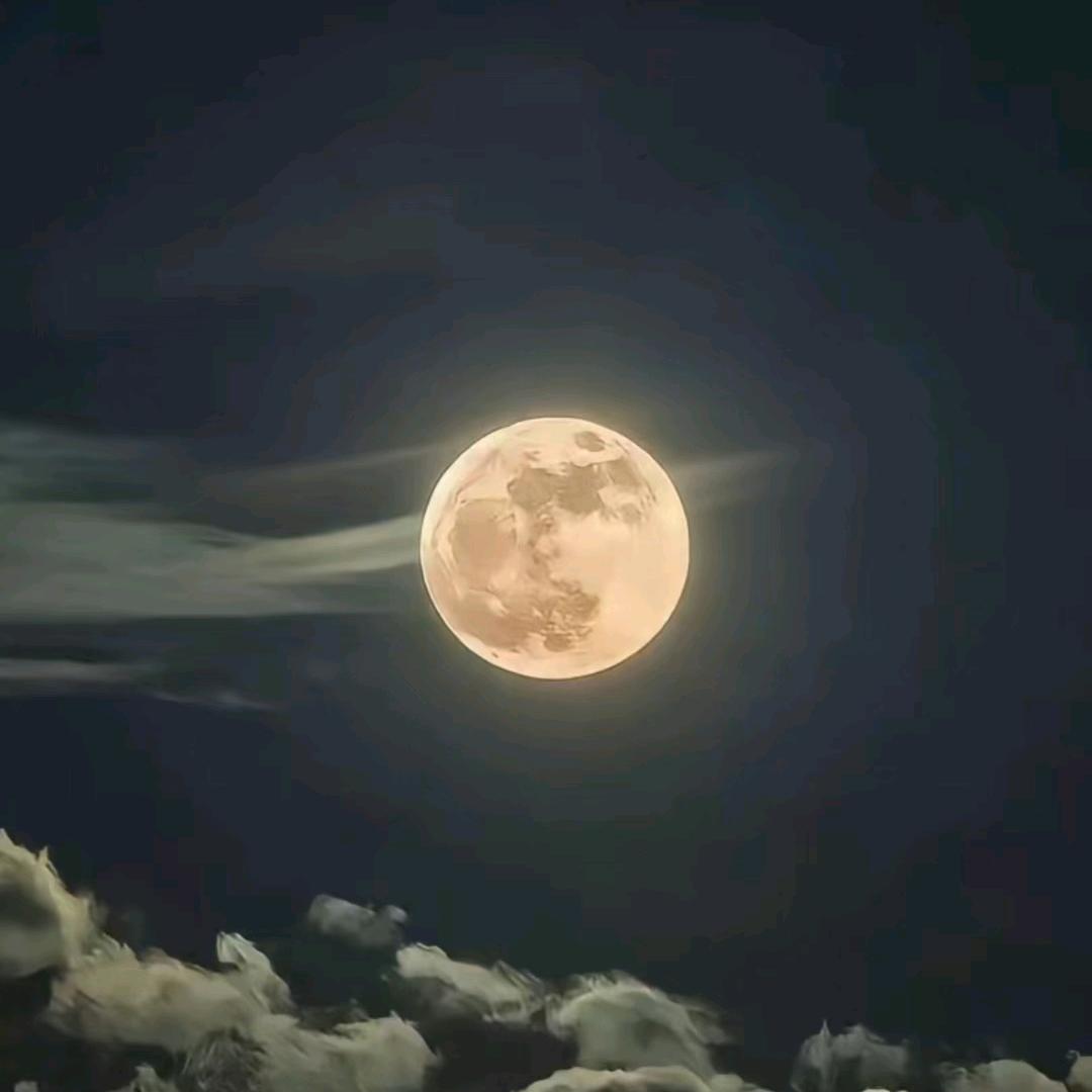 —东泽