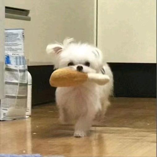 小沙弥