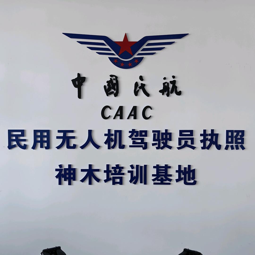 AI数创领航员