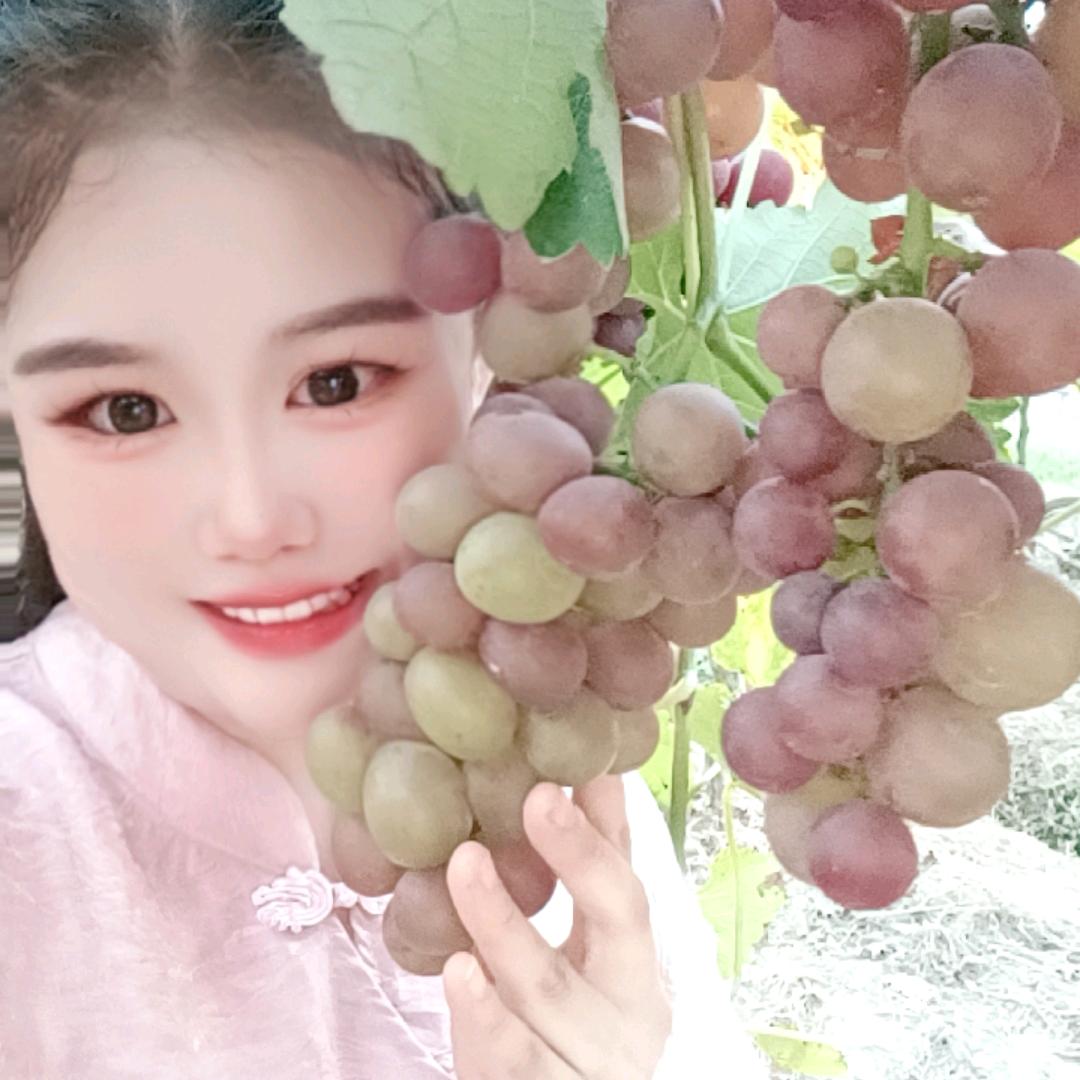 爱吃葡萄的小姐姐