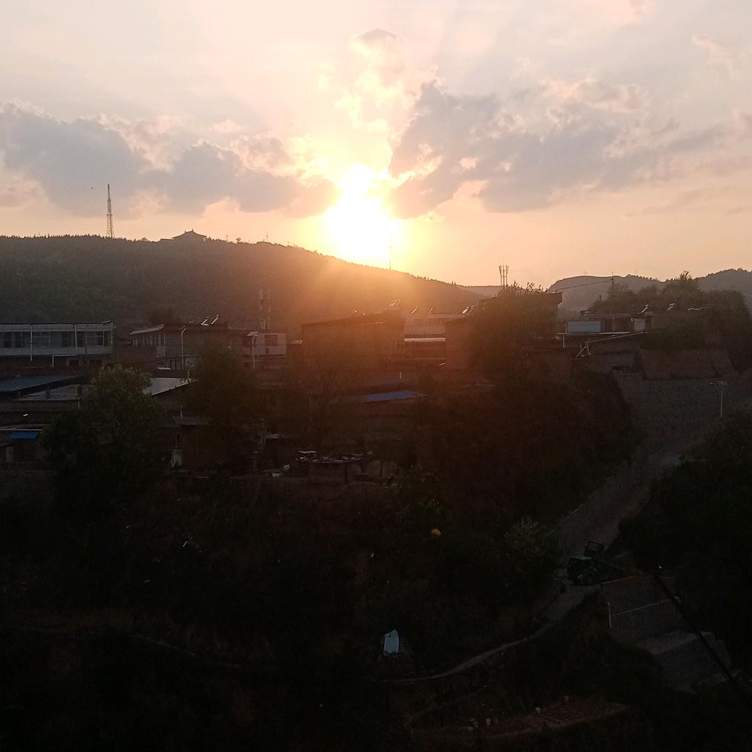 东方之虎