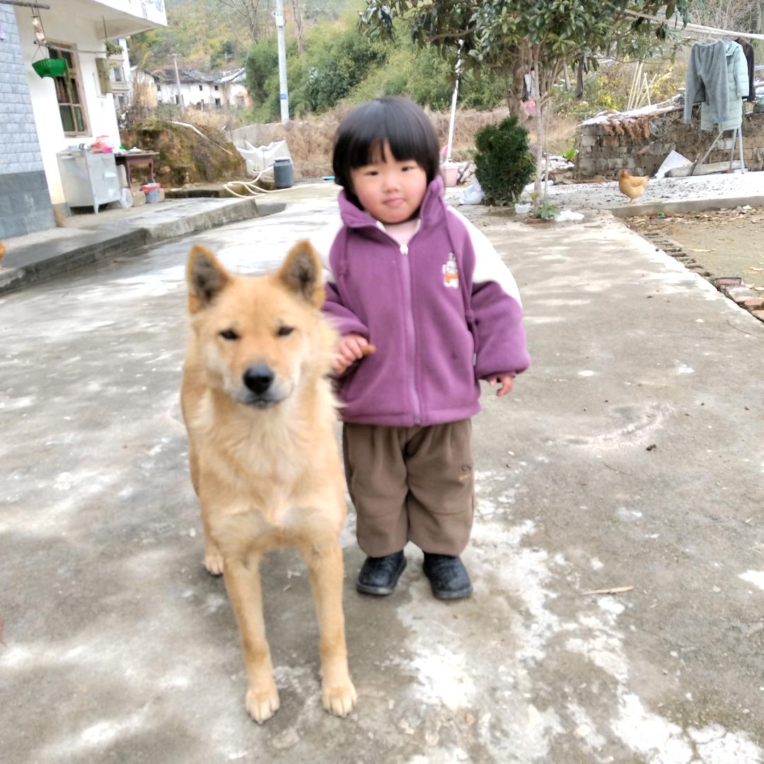 守卫者